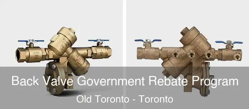 Back Valve Government Rebate Program Old Toronto - Toronto