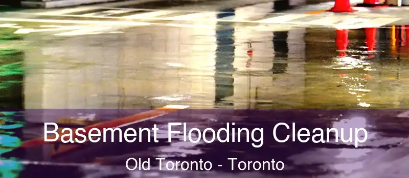 Basement Flooding Cleanup Old Toronto - Toronto