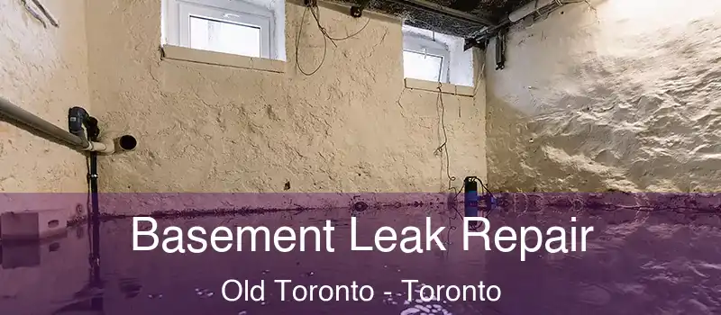 Basement Leak Repair Old Toronto - Toronto