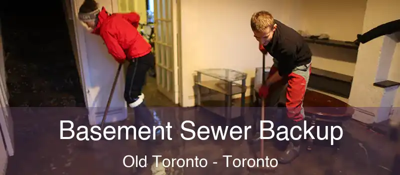 Basement Sewer Backup Old Toronto - Toronto