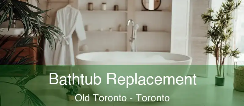  Bathtub Replacement Old Toronto - Toronto