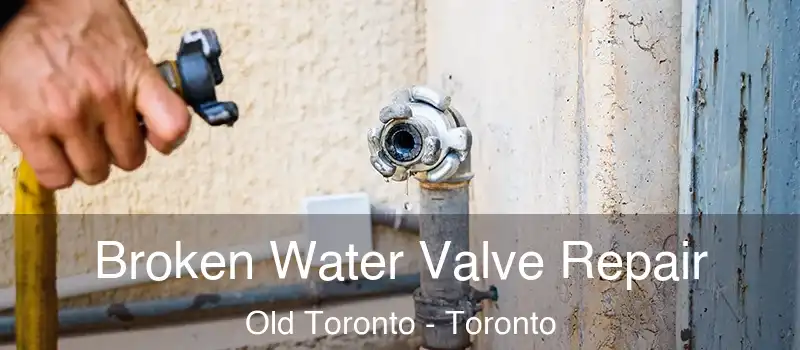 Broken Water Valve Repair Old Toronto - Toronto
