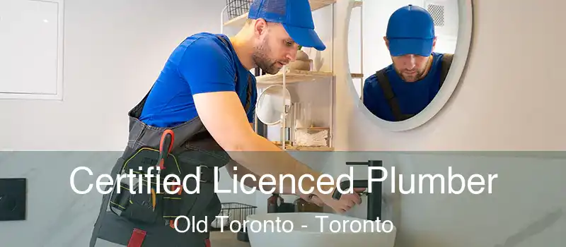 Certified Licenced Plumber Old Toronto - Toronto
