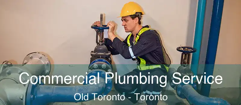  Commercial Plumbing Service Old Toronto - Toronto