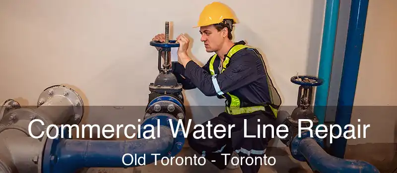 Commercial Water Line Repair Old Toronto - Toronto