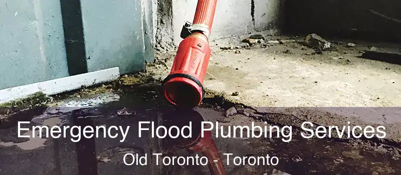 Emergency Flood Plumbing Services Old Toronto - Toronto