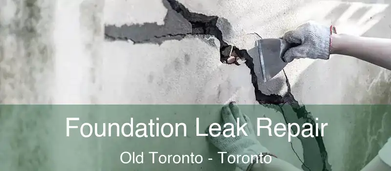 Foundation Leak Repair Old Toronto - Toronto