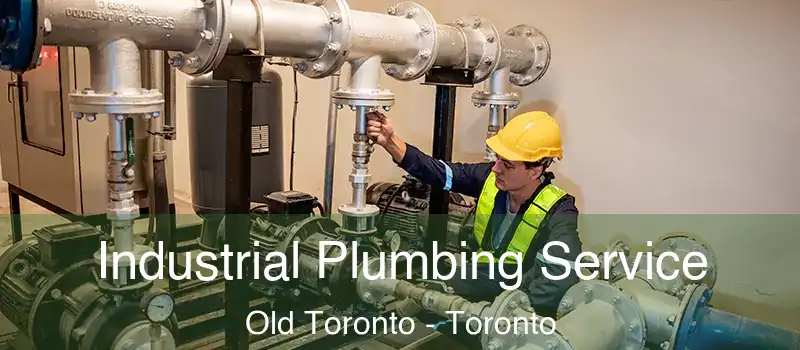  Industrial Plumbing Service Old Toronto - Toronto