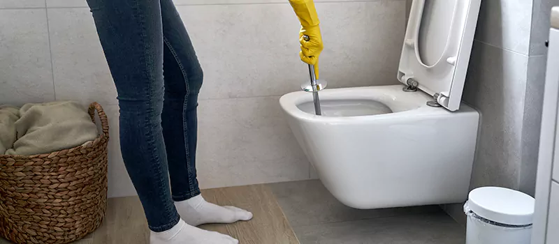 Toilet Flush Valve Installation Services in Old Toronto, Toronto