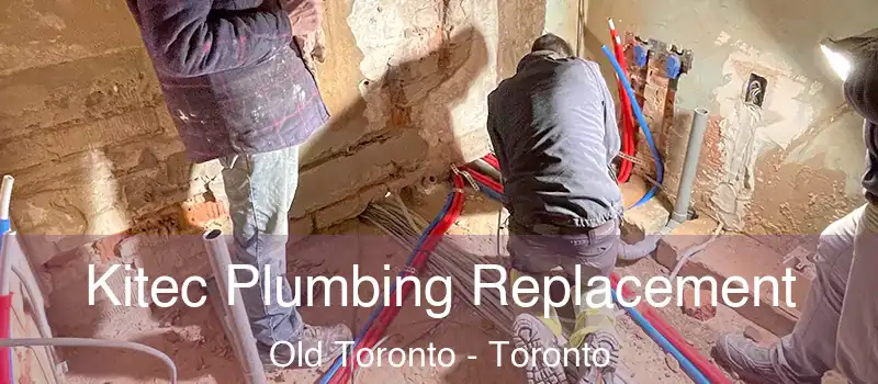  Kitec Plumbing Replacement Old Toronto - Toronto