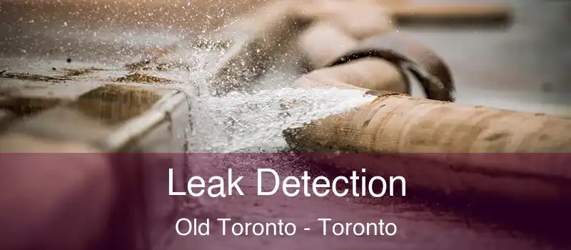  Leak Detection Old Toronto - Toronto
