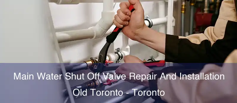  Main Water Shut Off Valve Repair And Installation Old Toronto - Toronto