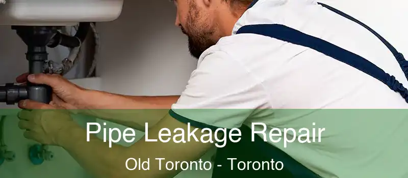 Pipe Leakage Repair Old Toronto - Toronto