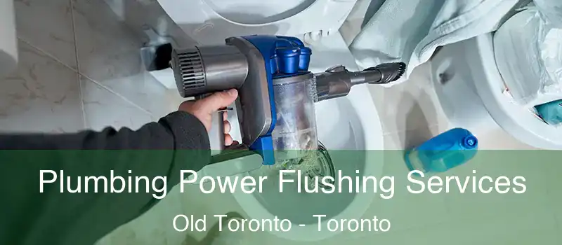 Plumbing Power Flushing Services Old Toronto - Toronto