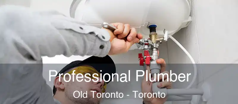 Professional Plumber Old Toronto - Toronto