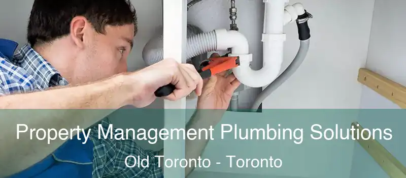 Property Management Plumbing Solutions Old Toronto - Toronto