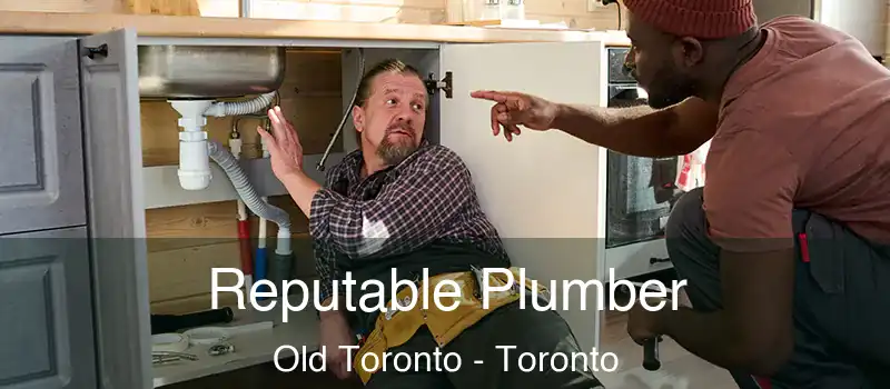 Reputable Plumber Old Toronto - Toronto