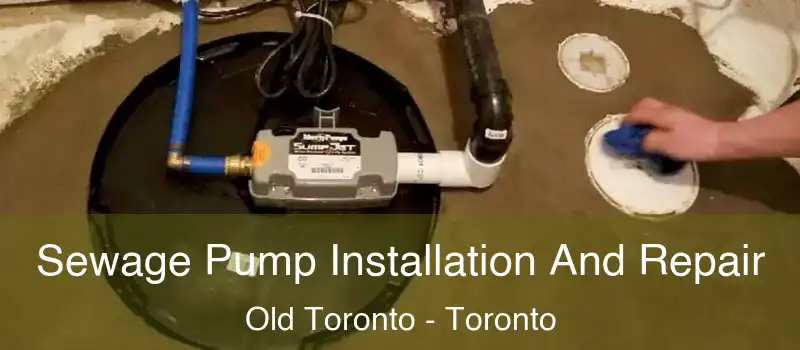 Sewage Pump Installation And Repair Old Toronto - Toronto