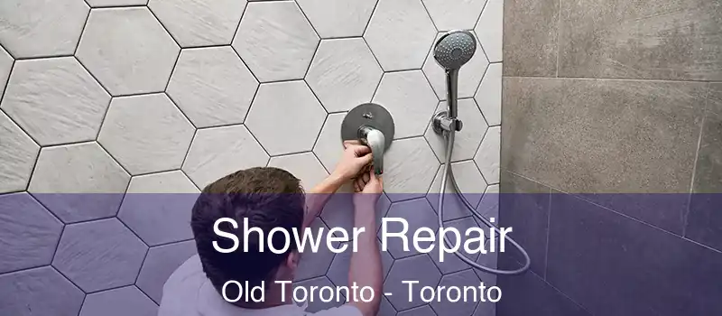 Shower Repair Old Toronto - Toronto