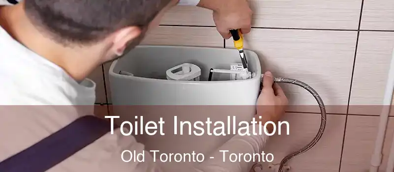 Toilet Installation Old Toronto - Toronto