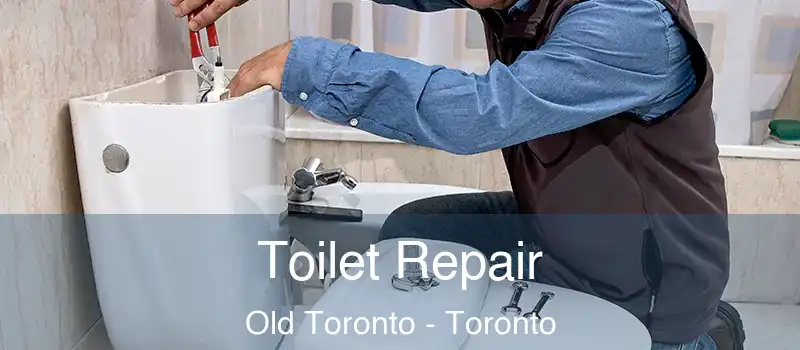  Toilet Repair Old Toronto - Toronto