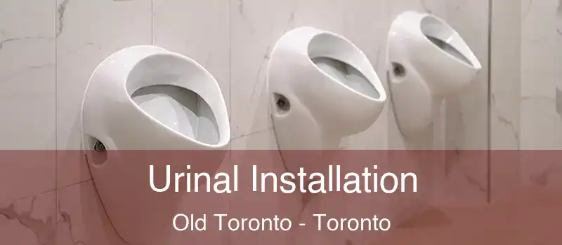 Urinal Installation Old Toronto - Toronto