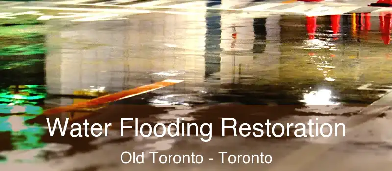 Water Flooding Restoration Old Toronto - Toronto