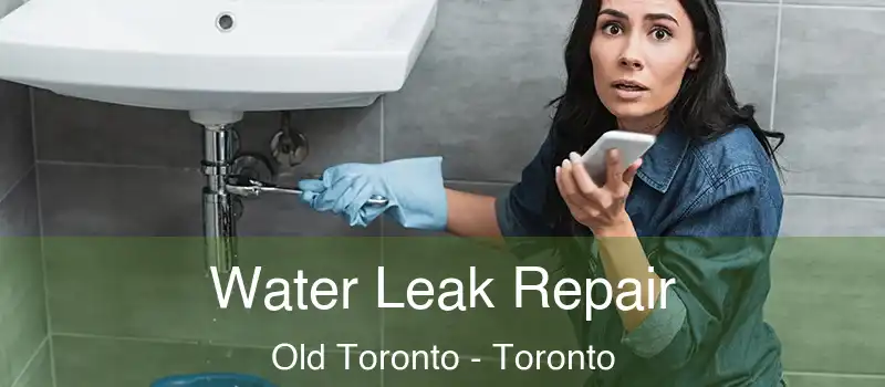  Water Leak Repair Old Toronto - Toronto