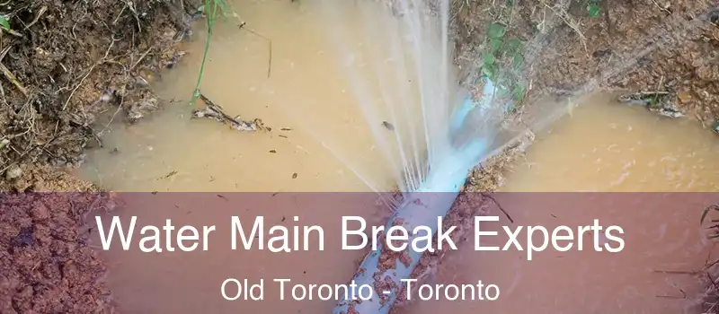 Water Main Break Experts Old Toronto - Toronto