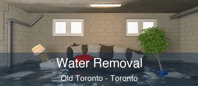 Water Removal Old Toronto - Toronto